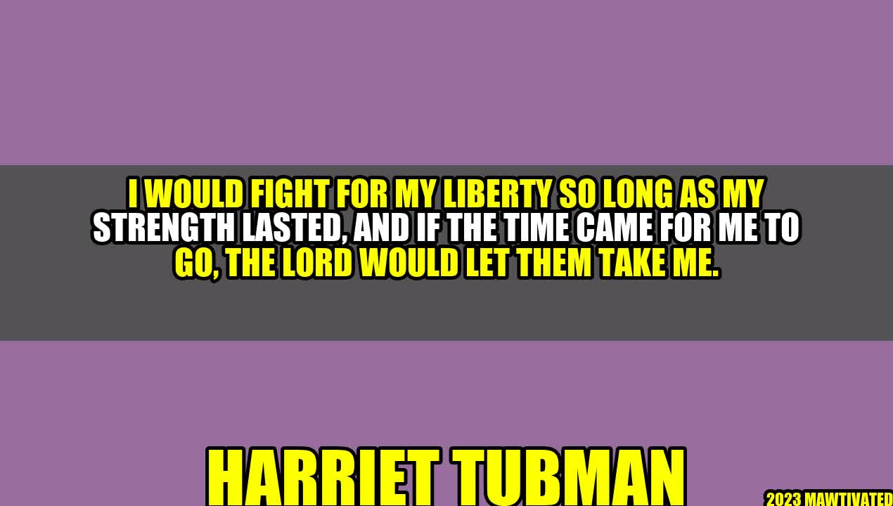 Fighting for Liberty: The Harriet Tubman Story